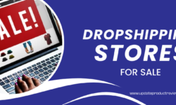 Exploring the Lucrative Path of Dropshipping Stores for Sale to Make Money Online