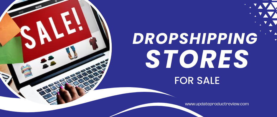 Exploring the Lucrative Path of Dropshipping Stores for Sale to Make Money Online