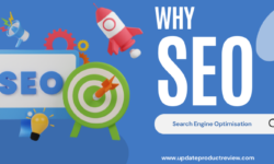 Tutorial: Recognizing the Value of SEO: Why We Need SEO?